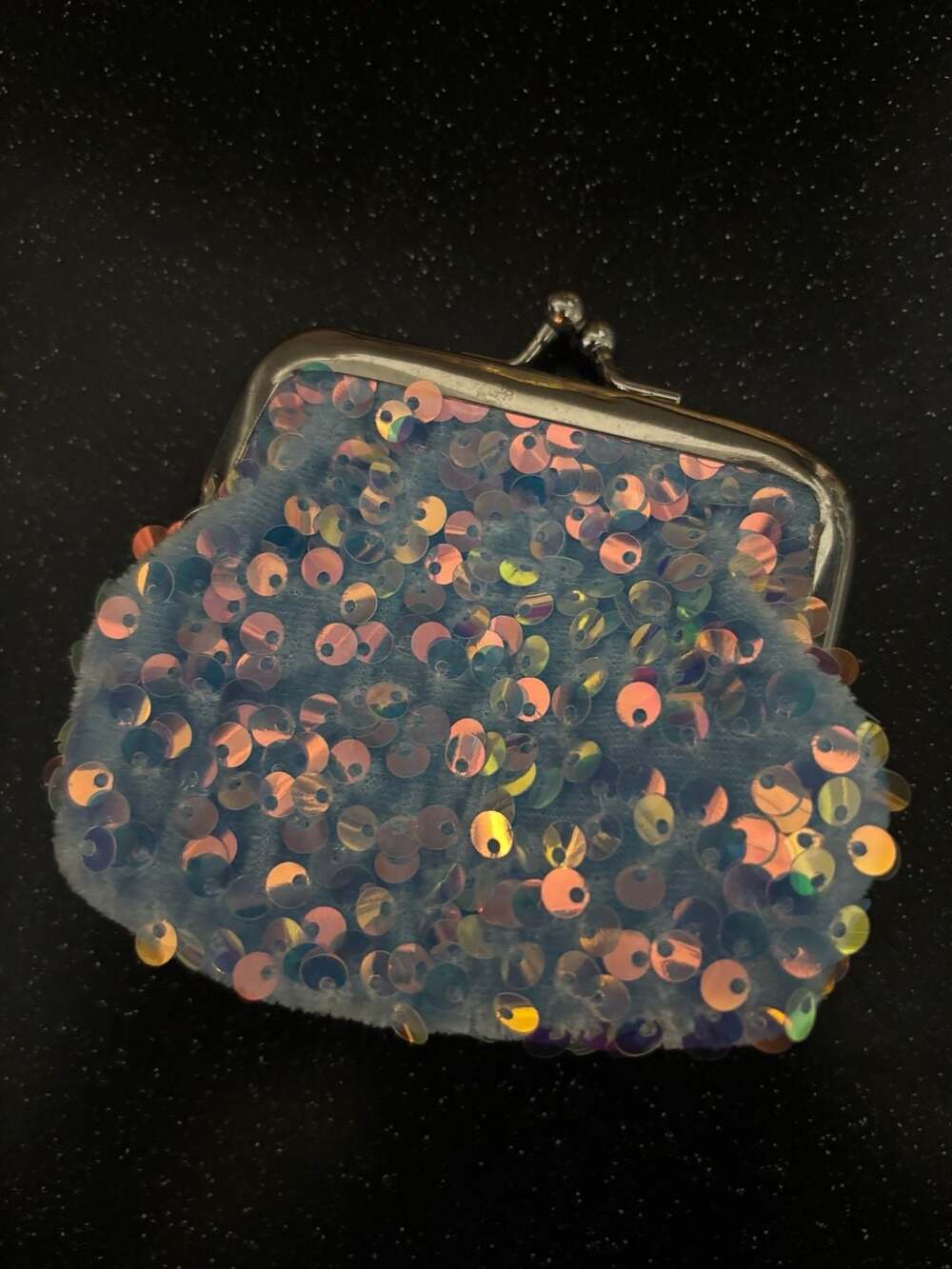 Greenbrier Sequin Coin Purse